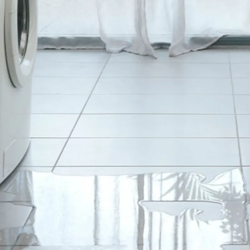 Appliance Leak Cleanup in Irwinton, GA