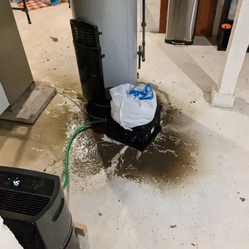 Sewage Backup Cleanup Service in Irwinton, GA